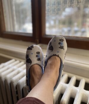 Chaussons avec des terriers